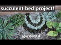 MY DIY OUTDOOR SUCCULENT BED! || Bakit Maraming Stick?