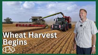 Download Lagu Wheat Harvest Begins \u0026 Tour of Our Farm Cottage Renovations MP3 Download Lagu Wheat Harvest Begins \u0026 Tour of Our Farm Cottage Renovations MP3