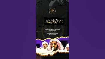 رعد الكردي سورة الطور | raad alkurdi surah at-Tur