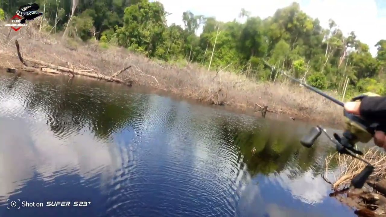 Sambaran yang selalu membuat terkejut ikan Hampala dan Toman di Das Katingan