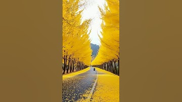 Photoshop tutorials | Yellow tone | Photoshop 7.0