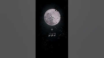 تلاوة تأخذك إلى عالم آخر بصوت الشيخ ماهر المعيقلي  #ماهر_المعيقلي