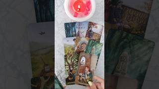 Что у Него с другой? #таро #ответутаро #гадание #таросегодня #tarot #shortstarot