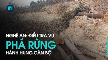 Nghệ An: Cán bộ bảo vệ rừng bị “lâm tặc” đánh nhập viện | VTC1