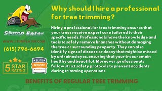 Why should I hire a professional for tree trimming?