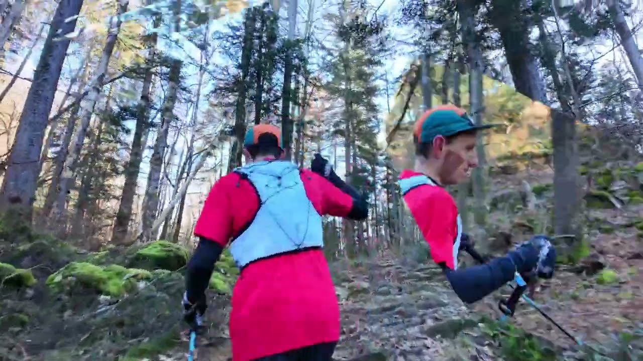 Haimont Folding Ultralight Aluminum Alloy Trail Running Pole