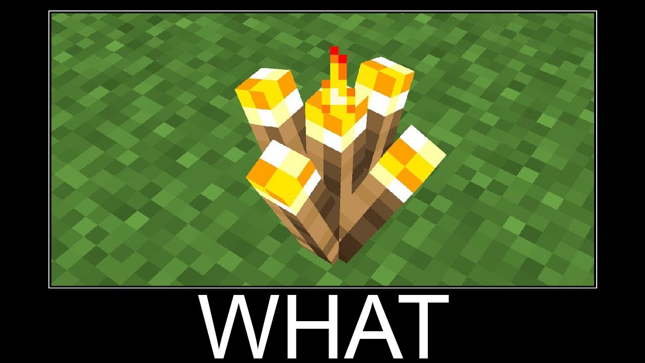 Minecraft WAIT WHAT meme 24/7 Livestream #864 - YouTube