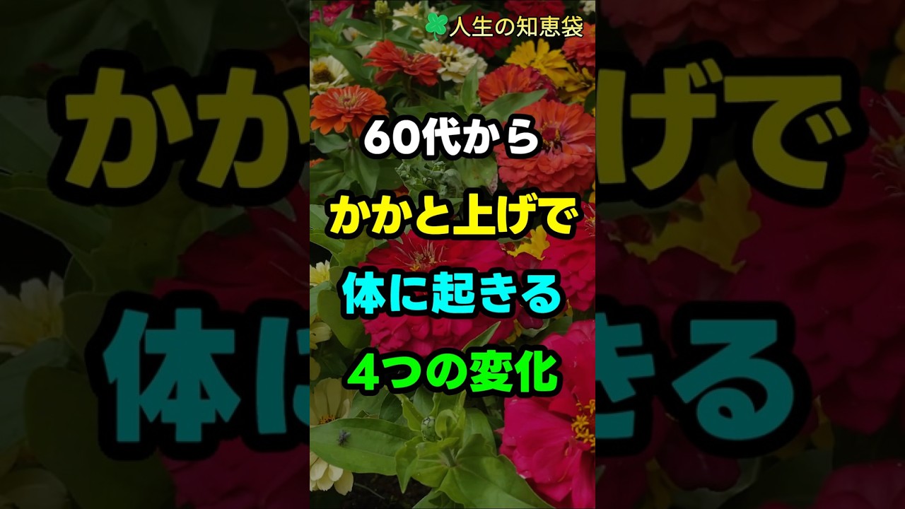 60代からかかと上げで体に起きる4つの変化