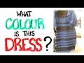 VIDEO: What Colour Is This Dress? (SOLVED with SCIENCE)