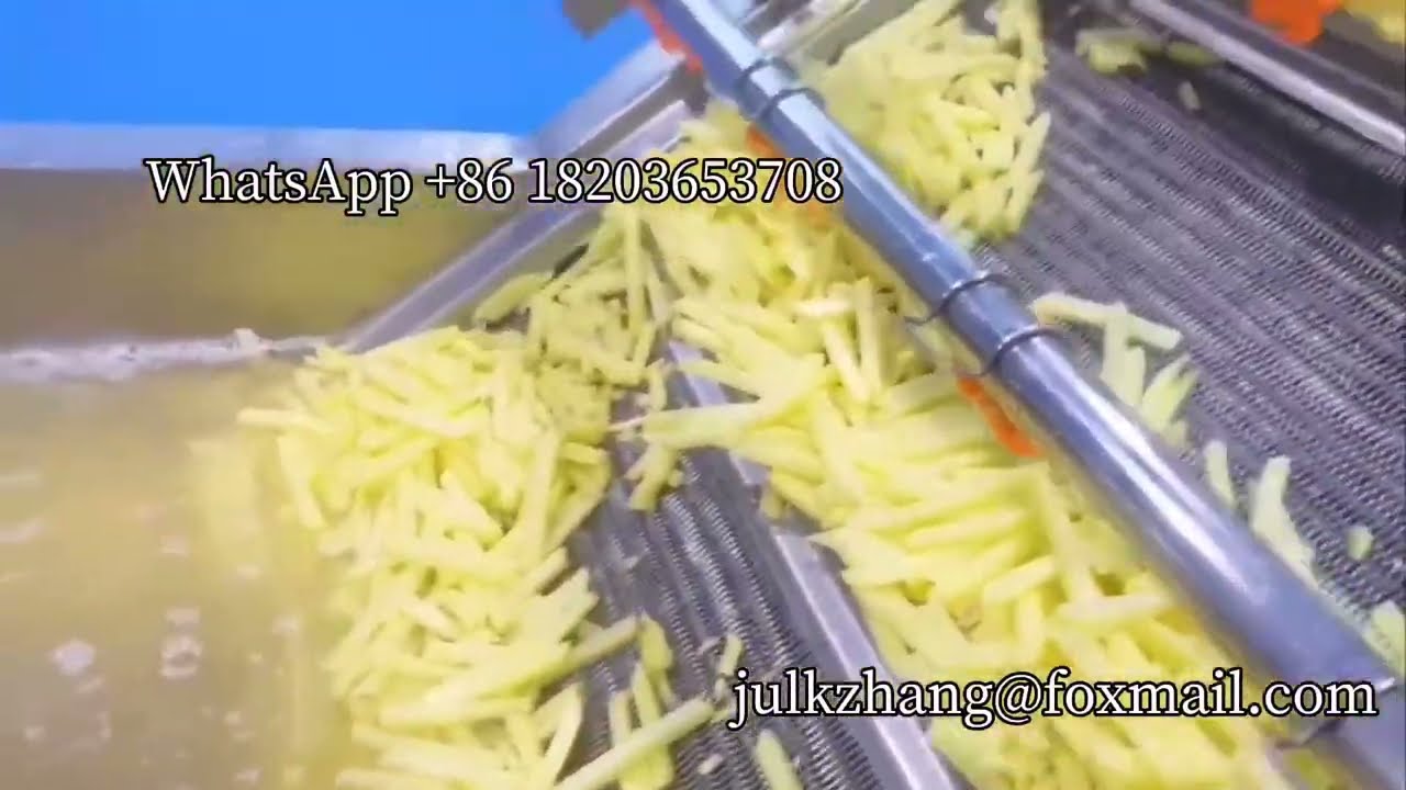 Automatic French fries production line Turkey French fries plant 500kg/h scale