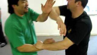 Lo Man Kam Association - Chi Sao Training
