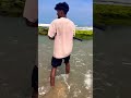 #முல்லைத்தீவு #fishing #nayaru #lifeisbutadream #meenavan #fish