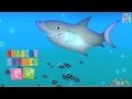 ANIMALS IN THE OCEAN | New Nursery Rhymes | English Songs For Kids | Nursery Rhymes TV