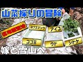 「山菜採りの冒険！嫁と雪山へ行ってきました」
