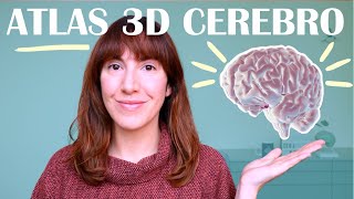Aprende neuroanatomía con este atlas 3D del cerebro