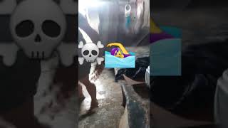 Celebrity 22 de enero de 2024 Wealth