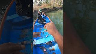 Live Bait Fishing
