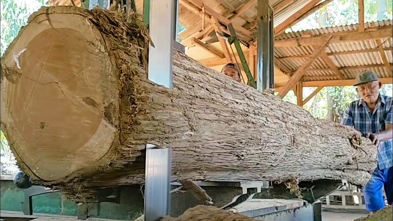 sawing old teak logs into blocks full of old and beautiful grain - YouTube