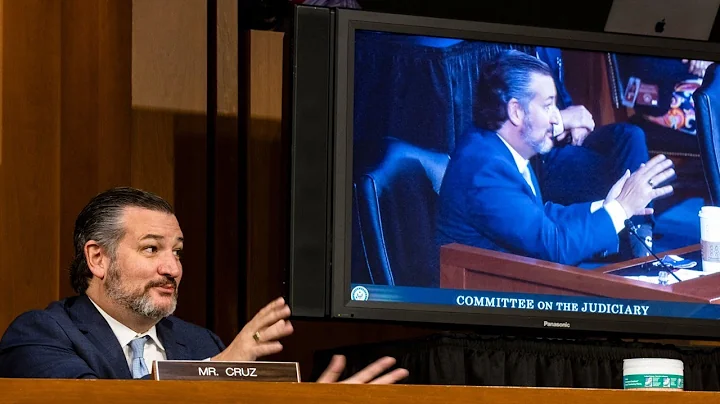 Ted Cruz grills big tech over digital censorship