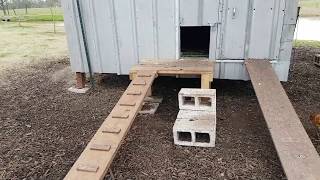 ramp chicken coop
