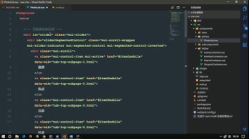 vue js 入门与实战 十一天课程day9 06 项目 渲染分类列表的数据