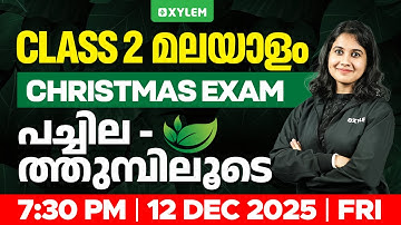 Class 2 മലയാളം | പച്ചിലത്തുമ്പിലൂടെ !! | Xylem Class 2