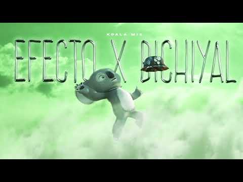 EFECTO X BICHIYAL - Mashup Remix (el gatito tuyo te perdio)