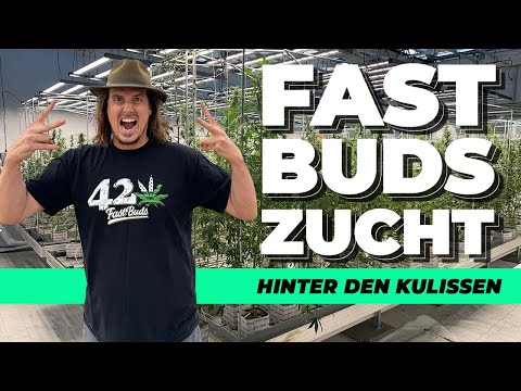 🤫 STRENG GEHEIM 🤫| Hier kommen eure Samen her | Hinter den Kulissen von Fast Buds