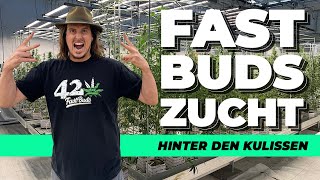 🤫 STRENG GEHEIM 🤫| Hier kommen eure Samen her | Hinter den Kulissen von Fast Buds