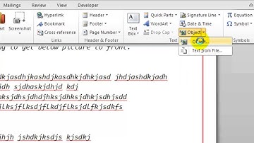 How to embed an excel file in Microsoft word