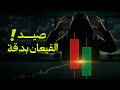 ازاي تبقي صياد شاطر في سوق الفوركس سر بسيط يخليك تسبق السوق بخطوة صيد القيعان