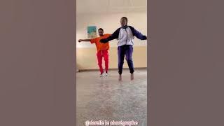 Majoos Makelele dance video challenge by Darelle le chorégraphe 🐅😱