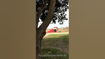 Highway View | Okara | Punjab | Food&Nature With AS | #shorts
