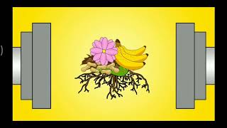 Kimia Bahan Alam Apa Pentingnya Bagi Kehidupan Mia? Alternatif Media Pembelajaran