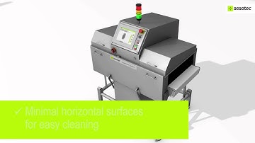 X-Ray Product Inspection System RAYCON D - End of line inspection