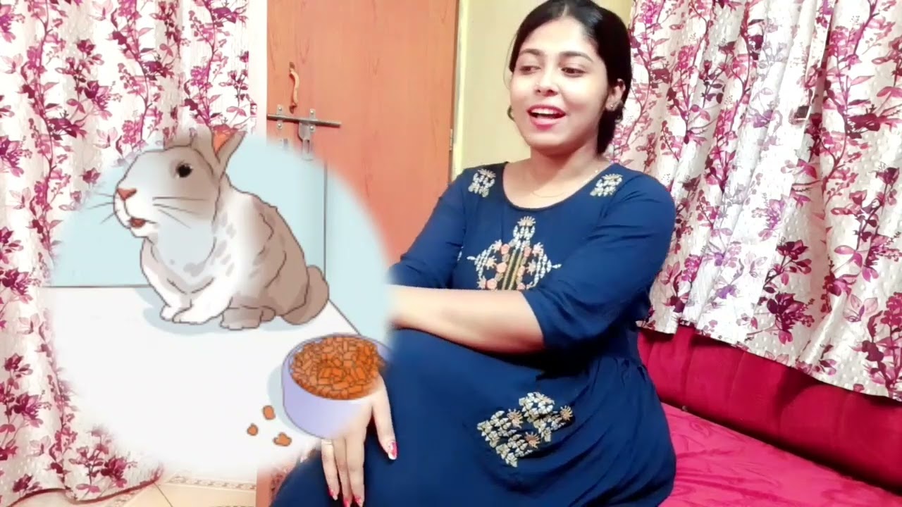 Medicine 💊 for sick unhealthy rabbit || magical medicine for rabbit