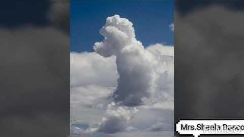 Class 3 - EVS CHAPTER 9                    It