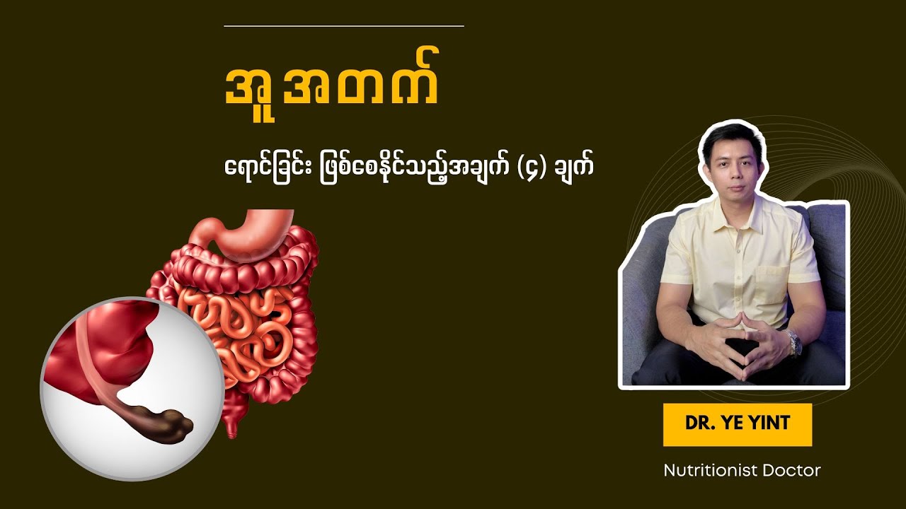 အူအတက်ရောင်ခြင်းဖြစ်စေနိုင်သော အချက် (၄) ချက် | Dr. Ye Yint