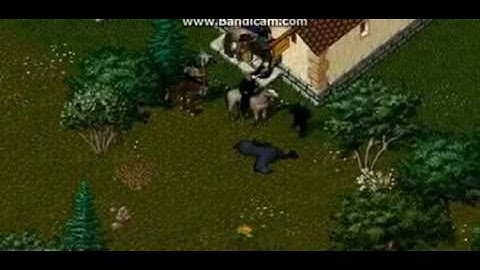 UOSecondage:Cmans Horse!!!!