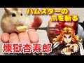 煉獄さんにハムスターの爪切りを頼んでみたw【鬼滅の刃】