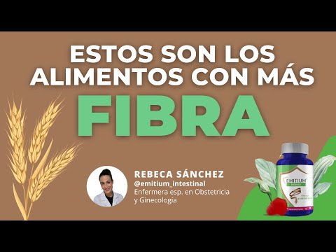 High-Fiber Food Searches