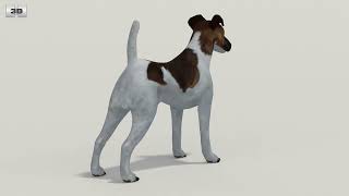 Fox Terrier smooth Low Poly 3D model by 3DModels.org