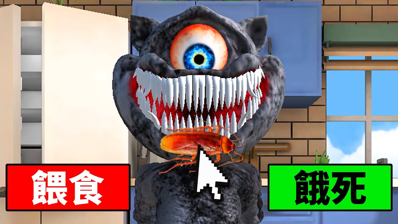 我養的貓咪為什麼變成這樣！？😱【Talking Juan】