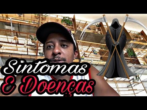 Como identificar sintomas de doenças - salve seu passaro / MANO TOM