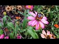 Man vs. Bee &amp; Suunto 9 (Part 1)