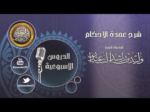 ما حكم من تجاوز الميقات بلا إحرام