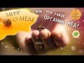 Миф о меде или что такое органик мед