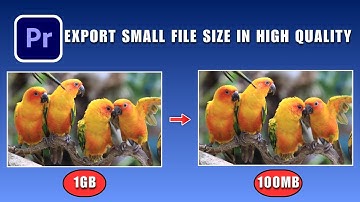 Hoe u kleine bestanden in hoge kwaliteit kunt exporteren in Premiere Pro 2026
