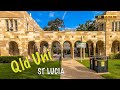 Brisbane university of queensland  4k ambient walk