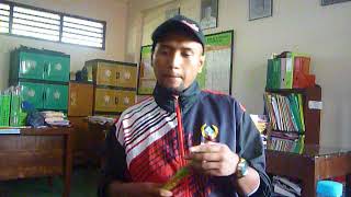 Download Lagu pacarmu sanjipak MP3